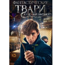 Фантастические твари и где они обитают (2016)
