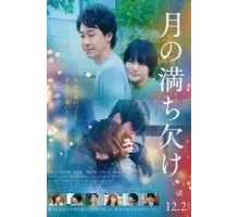 Фазы Луны (2022)