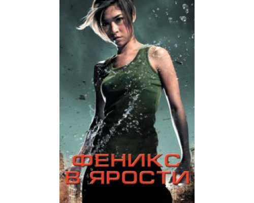 Феникс в ярости  (фильм 2009) смотреть онлайн