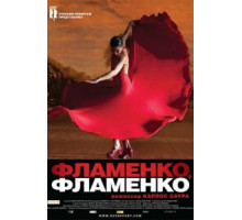 Фламенко, фламенко (2010)