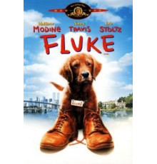 Флюк (1995)