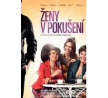 Женщины в соблазне (2010)