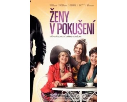 Женщины в соблазне  (фильм 2010) смотреть онлайн