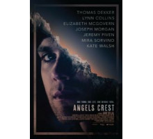 Герб ангелов (2011)