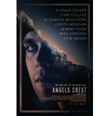 Герб ангелов (2011)