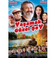 Жить прекрасно (2017)
