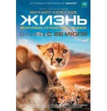 Жизнь (2011)