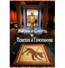 Жизнь и смерть в Помпеях и Геркулануме (2013)