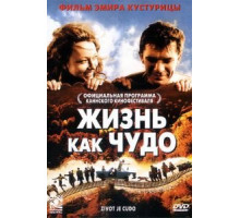 Жизнь как чудо (2004)