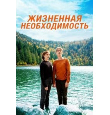 Жизненная необходимость (2019)