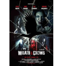 Гнев вороны (2013)