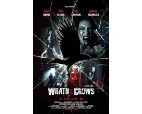 Гнев вороны  (фильм 2013) смотреть онлайн