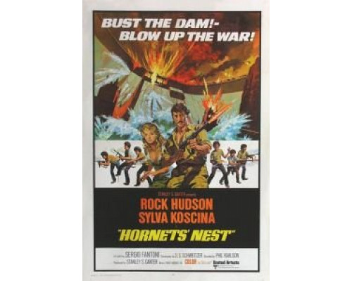 Гнездо шершней  (фильм 1970) смотреть онлайн