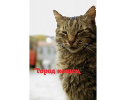 Город кошек  (фильм 2016) смотреть онлайн