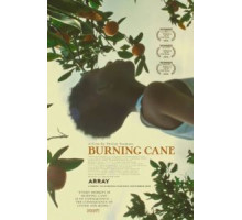 Горящий тростник (2019)