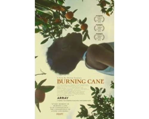 Горящий тростник  (фильм 2019) смотреть онлайн