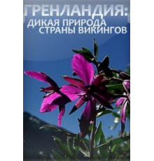 Гренландия: Дикая природа страны викингов (2005)