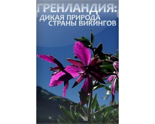 Гренландия: Дикая природа страны викингов  (фильм 2005) смотреть онлайн
