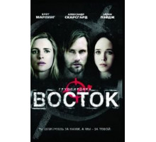 Группировка «Восток» (2013)