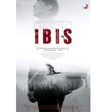 Хохлатый ибис (2017)