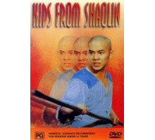 Храм Шаолинь 2: Дети Шаолиня (1984)