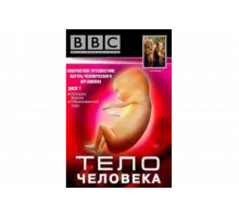 BBC: Тело человека   сериал