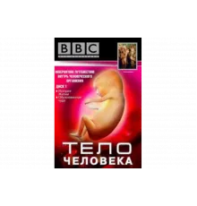 BBC: Тело человека   сериал