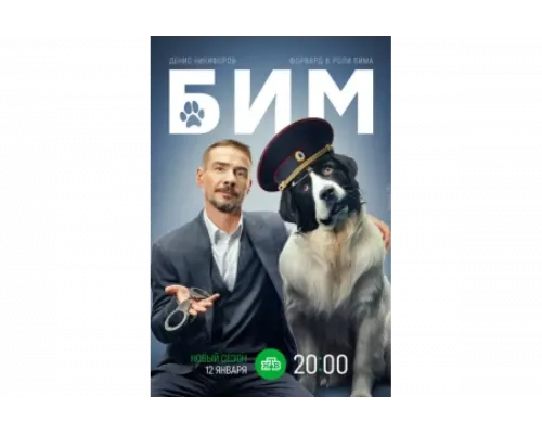 БИМ   сериал смотреть