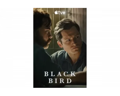 Чёрная птица   сериал смотреть