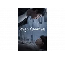 Чудесные братья   сериал