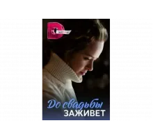 До свадьбы заживет   сериал
