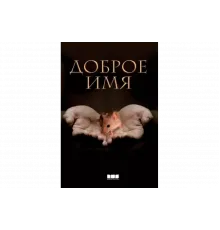 Доброе имя   сериал