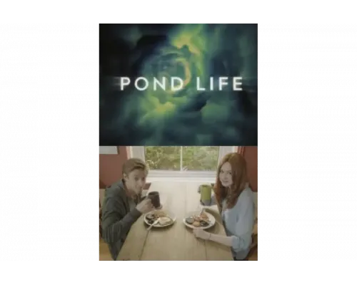 Доктор Кто: Жизнь Пондов   сериал смотреть