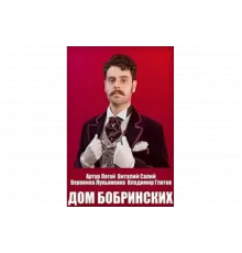 Дом Бобринских   сериал
