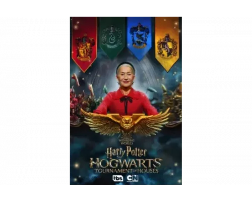 Гарри Поттер: Битва факультетов   сериал смотреть