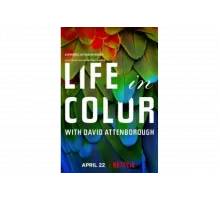 Жизнь в цвете с Дэвидом Аттенборо   сериал