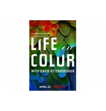 Жизнь в цвете с Дэвидом Аттенборо   сериал