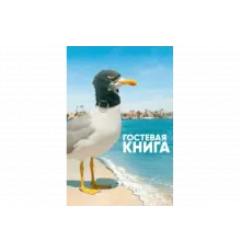 Гостевая книга   сериал