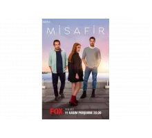 Гостья   сериал