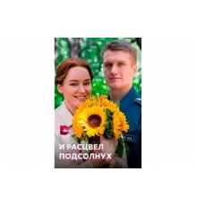 И расцвел подсолнух   сериал