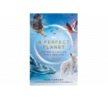 Идеальная планета   сериал