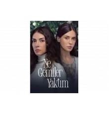 Какие корабли я сжег   сериал