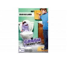 Крэш и Бернштейн   сериал