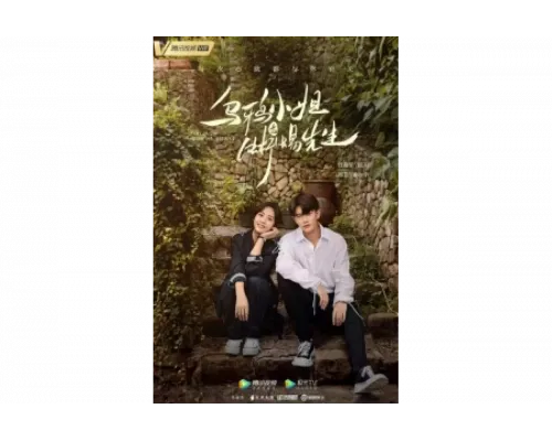 Мисс Ворона и мистер Ящерица   сериал смотреть