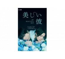 Мой красивый парень   сериал