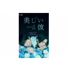 Мой красивый парень   сериал