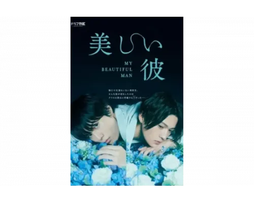 Мой красивый парень   сериал смотреть