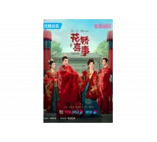 Не тот паланкин, тот жених   сериал