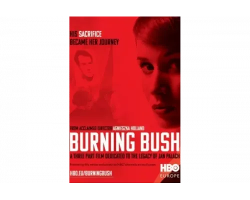 Неопалимая купина   сериал смотреть