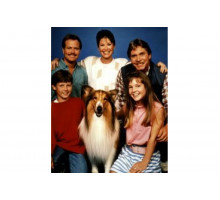 Новые приключения Лесси   сериал